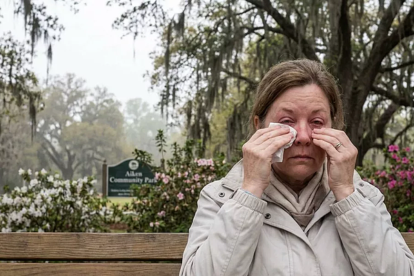 Are Seasonal Allergies in Aiken Linked to Immune Fatigue?