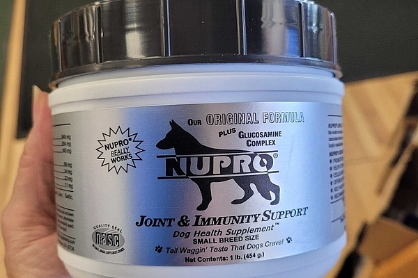 Helping Older Pets in Aiken Stay Active with Natural Support