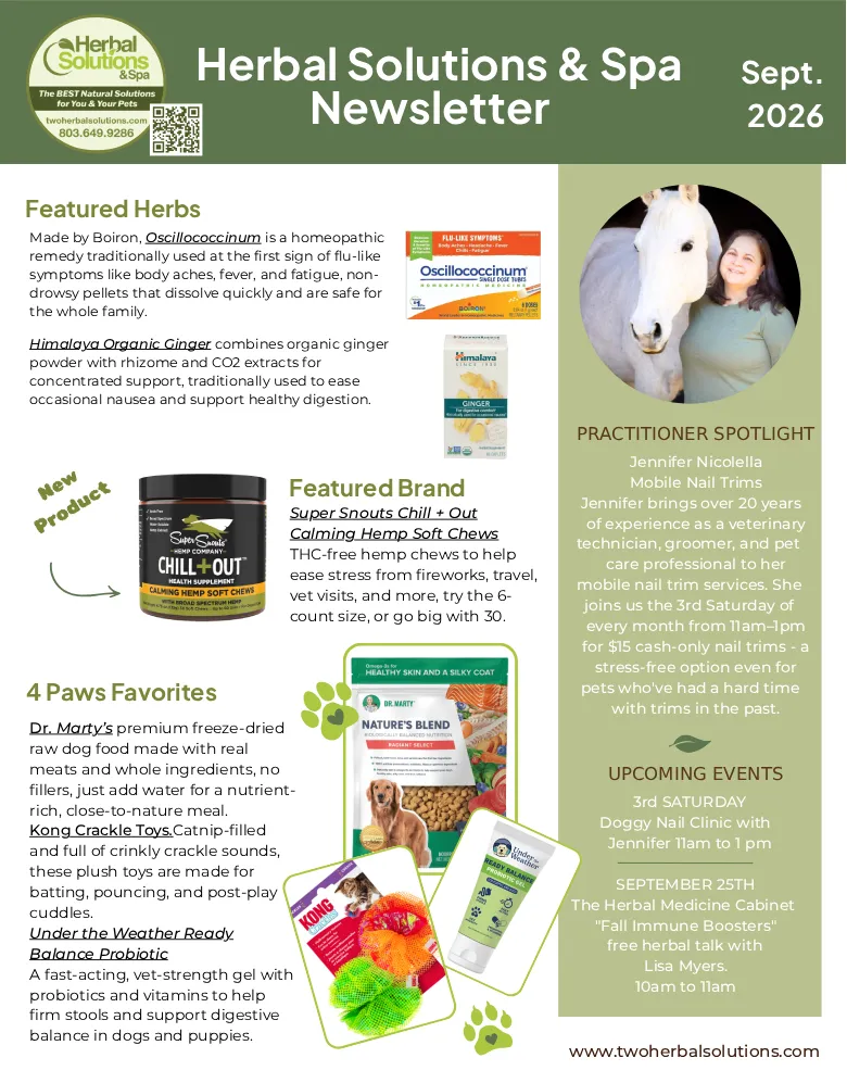 September 2026 Newsletter