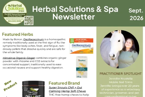 September 2026 Newsletter